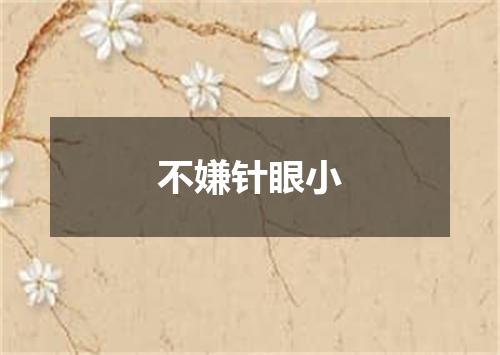 不嫌针眼小
