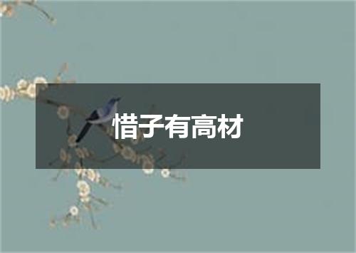 惜子有高材