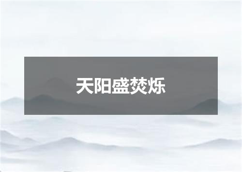 天阳盛焚烁