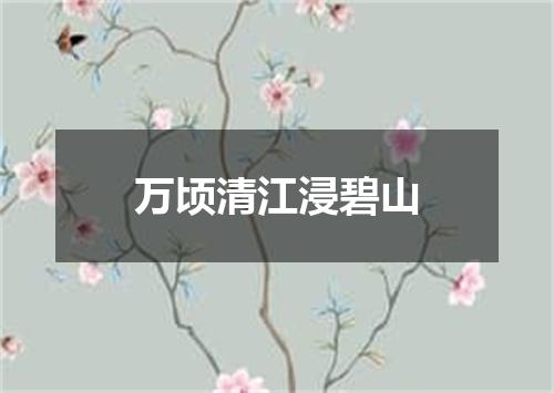 万顷清江浸碧山