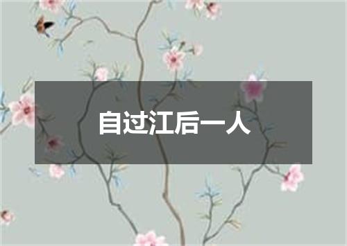 自过江后一人
