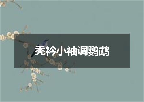 秃衿小袖调鹦鹉