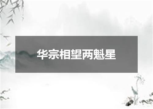 华宗相望两魁星