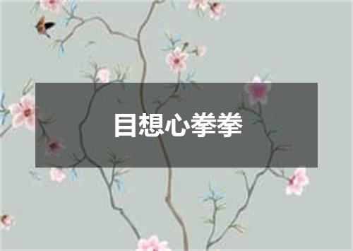 目想心拳拳