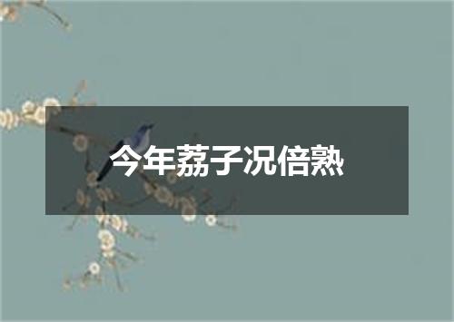 今年荔子况倍熟