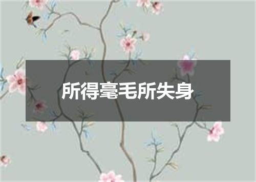 所得毫毛所失身