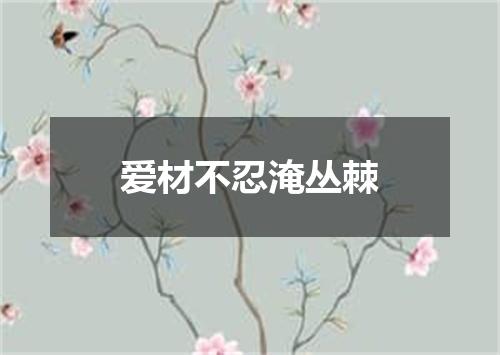 爱材不忍淹丛棘