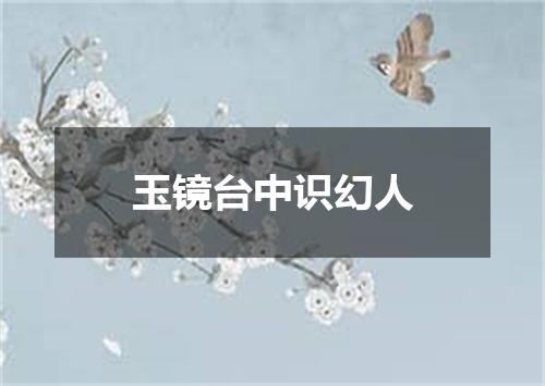 玉镜台中识幻人