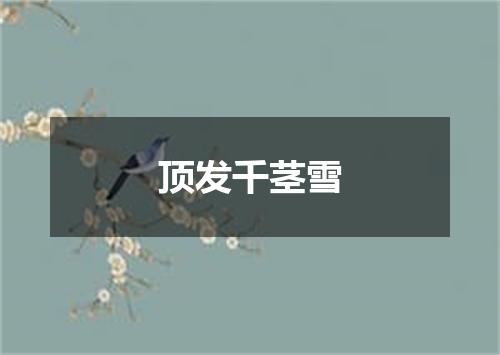 顶发千茎雪