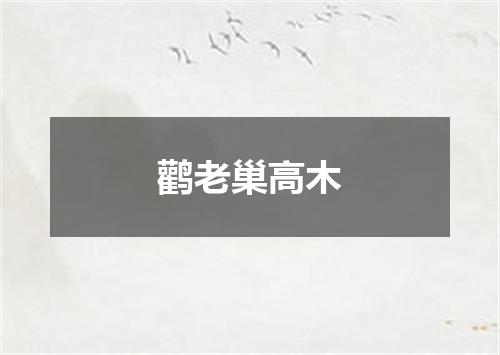 鹳老巢高木