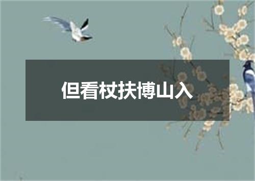但看杖扶博山入