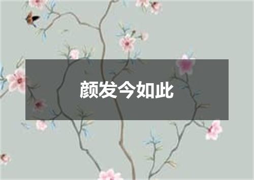 颜发今如此