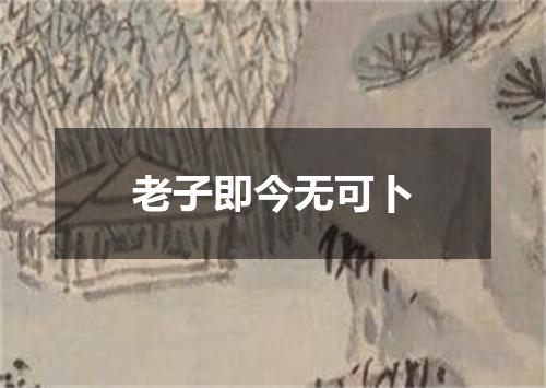 老子即今无可卜