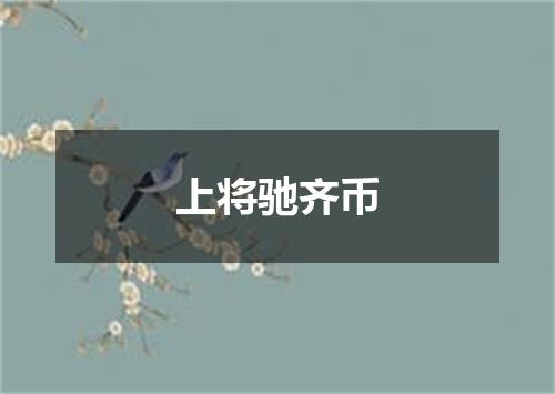 上将驰齐币