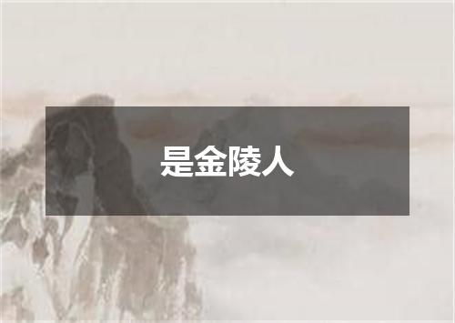 是金陵人