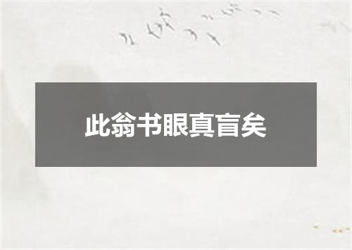 此翁书眼真盲矣