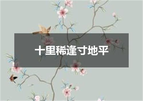 十里稀逢寸地平