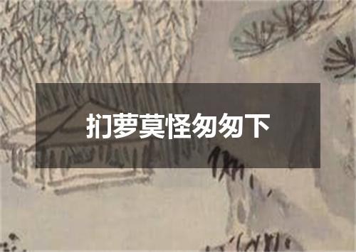 扪萝莫怪匆匆下