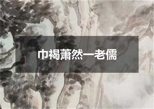 巾褐萧然一老儒