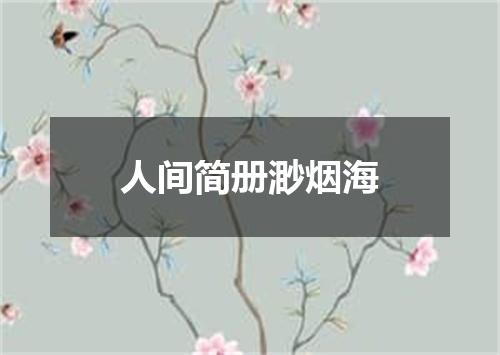 人间简册渺烟海