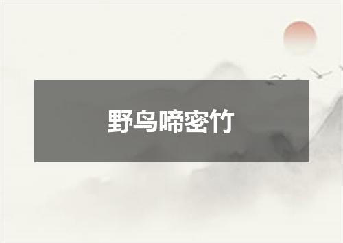 野鸟啼密竹