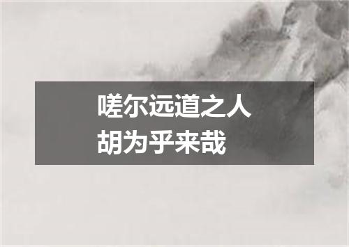 嗟尔远道之人胡为乎来哉