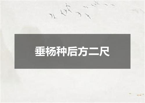 垂杨种后方二尺