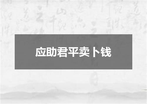 应助君平卖卜钱