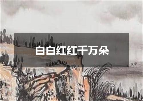 白白红红千万朵