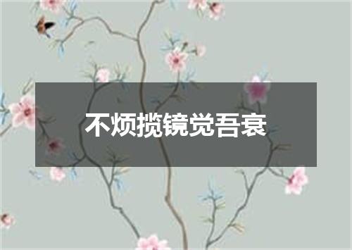 不烦揽镜觉吾衰