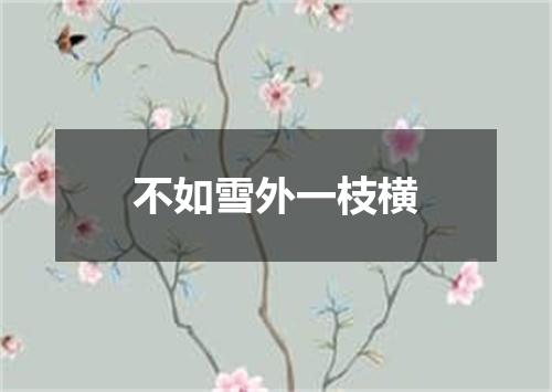 不如雪外一枝横