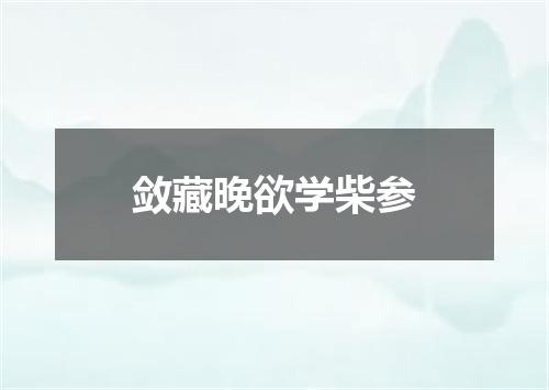 敛藏晚欲学柴参