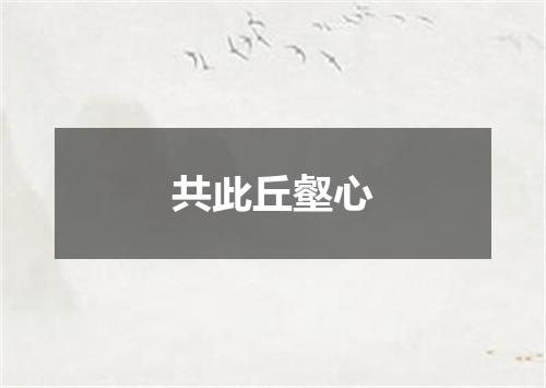 共此丘壑心