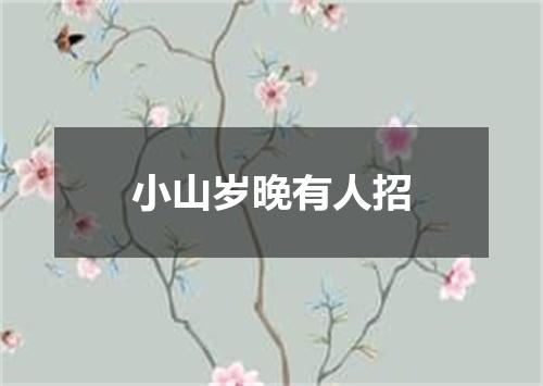 小山岁晚有人招