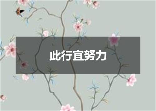 此行宜努力