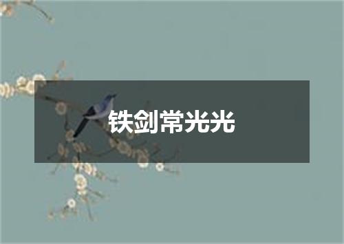 铁剑常光光