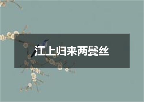 江上归来两鬓丝