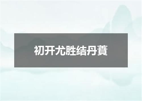 初开尤胜结丹蕡
