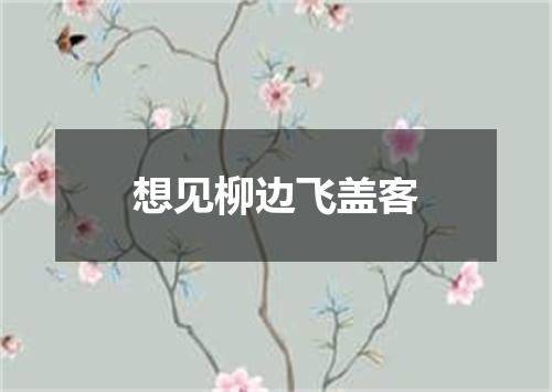 想见柳边飞盖客