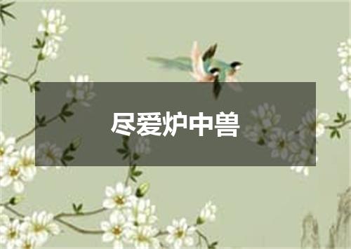 尽爱炉中兽
