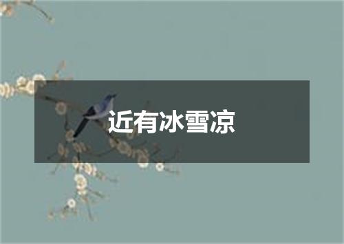 近有冰雪凉