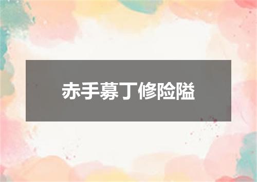 赤手募丁修险隘