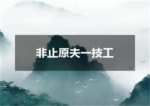 非止原夫一技工