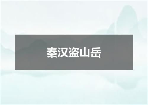 秦汉盗山岳