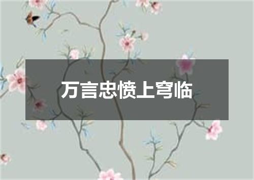 万言忠愤上穹临