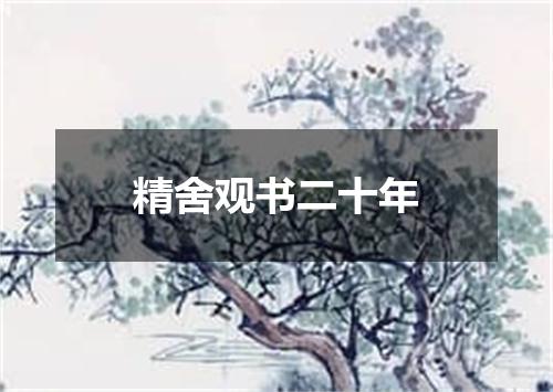 精舍观书二十年