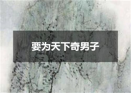 要为天下奇男子