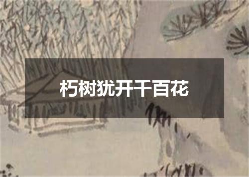 朽树犹开千百花