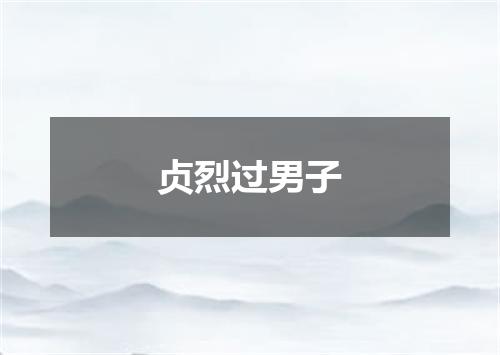 贞烈过男子