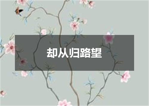 却从归路望